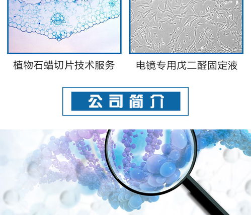 邁斯普 專業酵母雙雜交技術服務可靠推薦商家